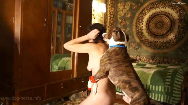 سكس حيوانات 2022 كلب ينيك بنت قحبة فى كسها وطيزها