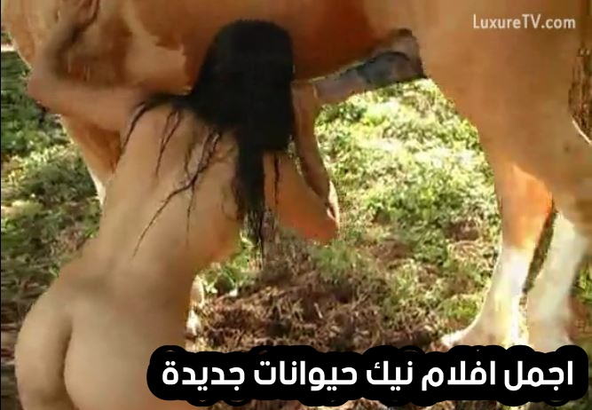 تحميل سكس حصان 2022 والنيك الممتع علي الارض بورن حيوانات نار