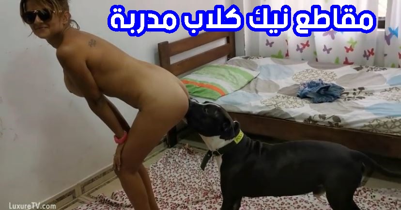 جديد سكس كلب عنيف في ممارسة الجنس الحيواني مع البنات العاهرة