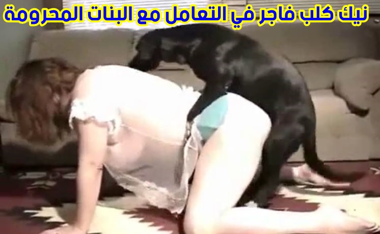 سكس فيديو نيك كلب فاجر في التعامل مع البنات المحرومة من الجنس الحيواني