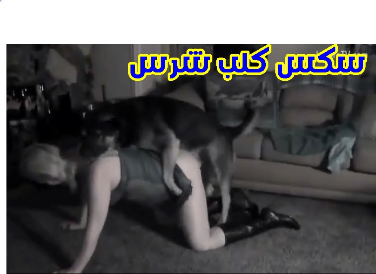 سكس كلب شرس يفتح الكس ببراعة ويمتع صاحبتة بكافة الطرق