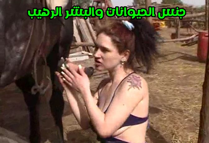 افلام اباحية مع الحصان المدرب في جنس الحيوانات والبشر الرهيب