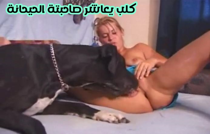 سكس كلب في المنزل مع صاحبتها التعبانة ويقوم بمعاشرتها بقوة
