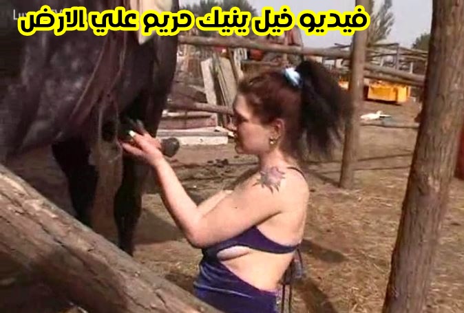 سكس مع الحصان 2022 نيك في الاسطبل مع صاحبته المشتهية