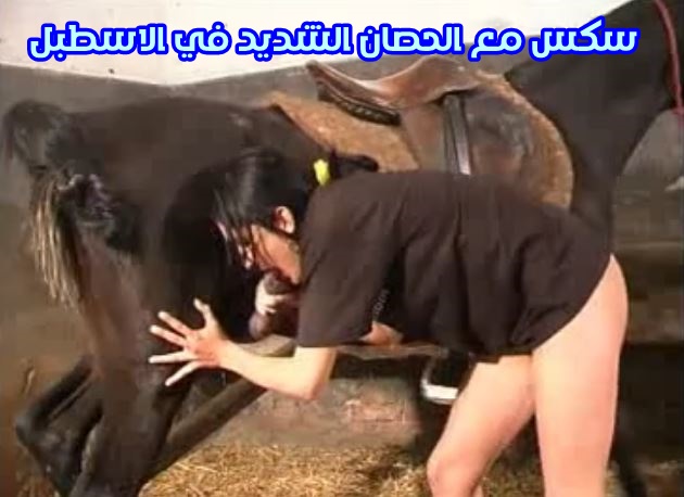 مشاهدة سكس مع الحصان الشديد في الاسطبل واجمد نيك حيوانات