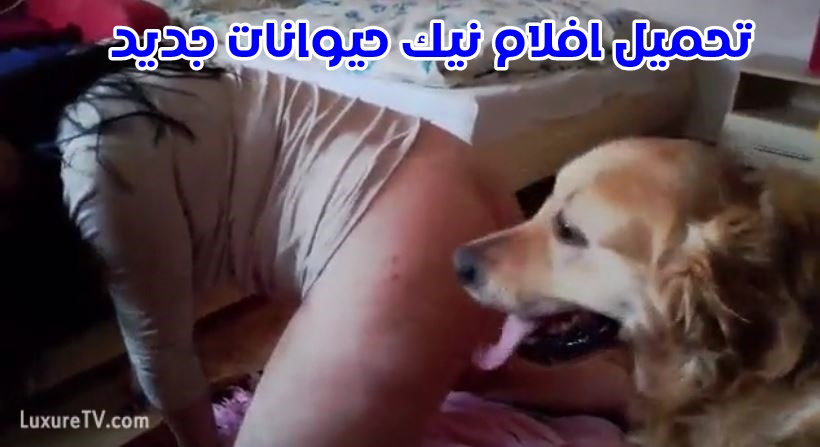 نيك كلابي صعب في الكس الطري واجمد فشخ للطيز علي الارض