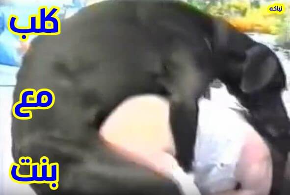 بنت مع كلب في المنزل فاشخ كسها نيك سكس حيوانات 2022