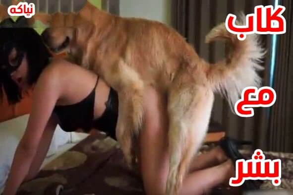 شاهد كلاب تنيك بنات هايجه في المنزل سكس كلاب
