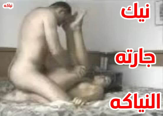 نيك شراميط في شقة افلام سكس عربي جديد وحصري