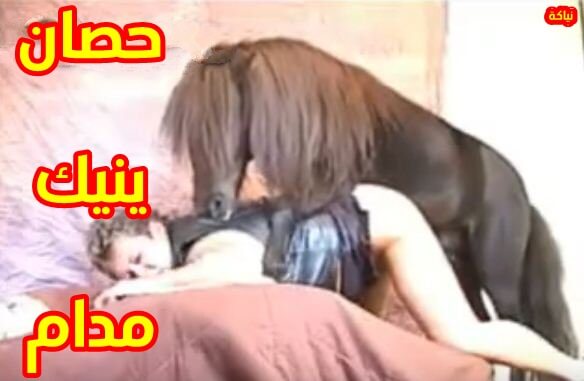 حصان ينيك كس مدام محرومه جدا سكس حيوانات