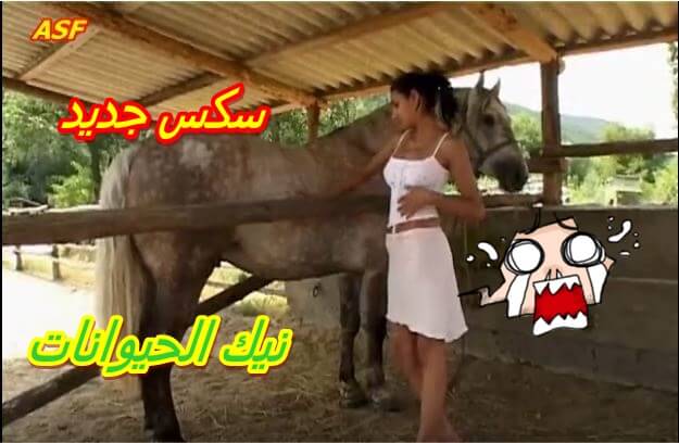 سكس جديد ممارسة الجنس الشديد مع الحيوانات مع أحمر الشعر والحصان
